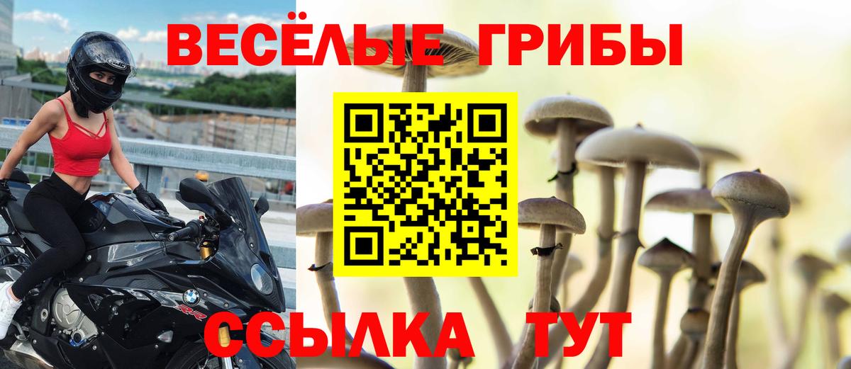 Галлюциногенные грибы MAGIC MUSHROOMS  Галлюциногенные грибы MAGIC MUSHROOMS  Вход с VPN  Апатиты 